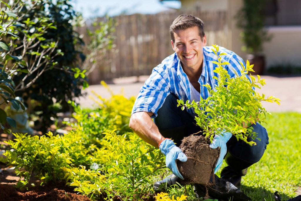 gardening